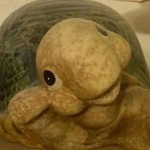 Meet your Posher, Annette